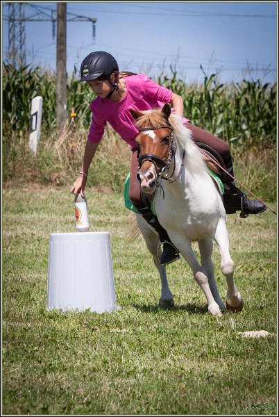 Mounted Games 141